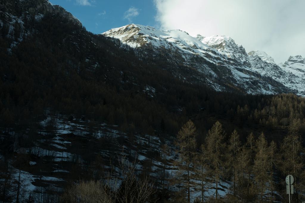 Hotel Etoile De Neige Valtournenche Exteriör bild